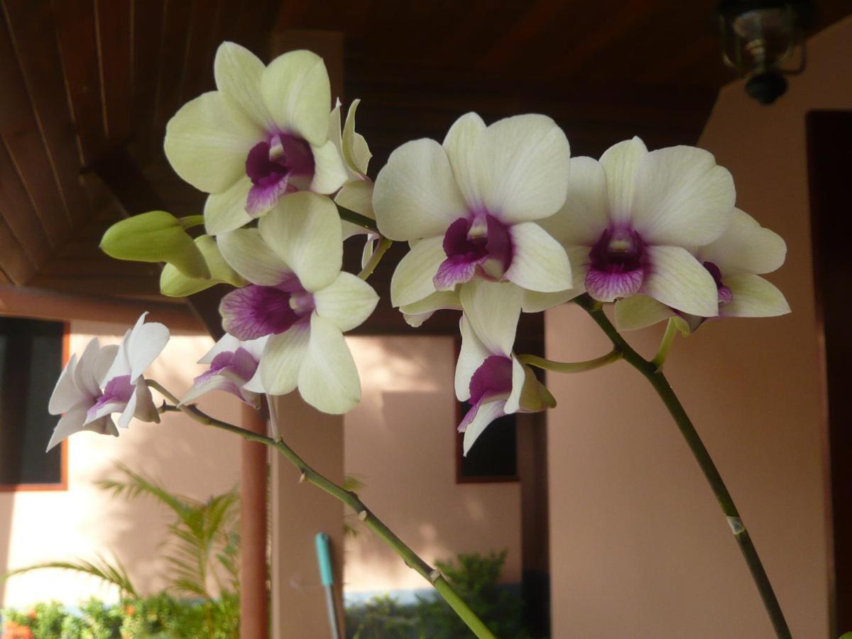 The Pace Phuket Boutique Resort Rawai 外观 照片