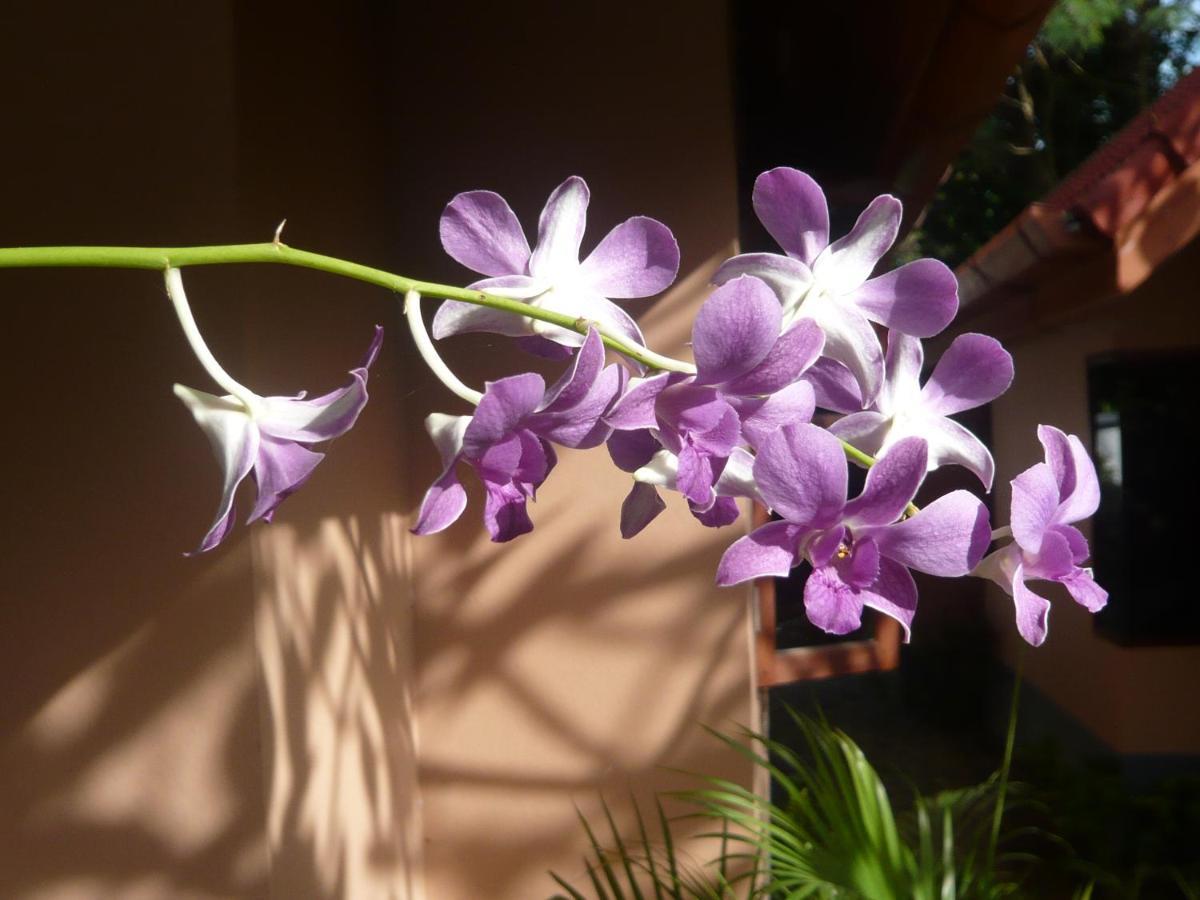 The Pace Phuket Boutique Resort Rawai 外观 照片