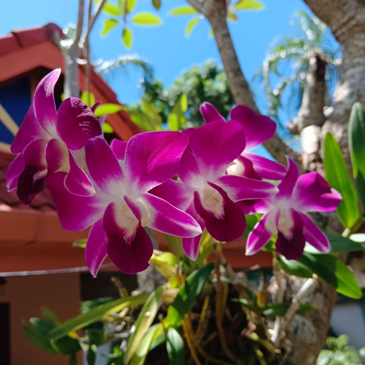 The Pace Phuket Boutique Resort Rawai 外观 照片