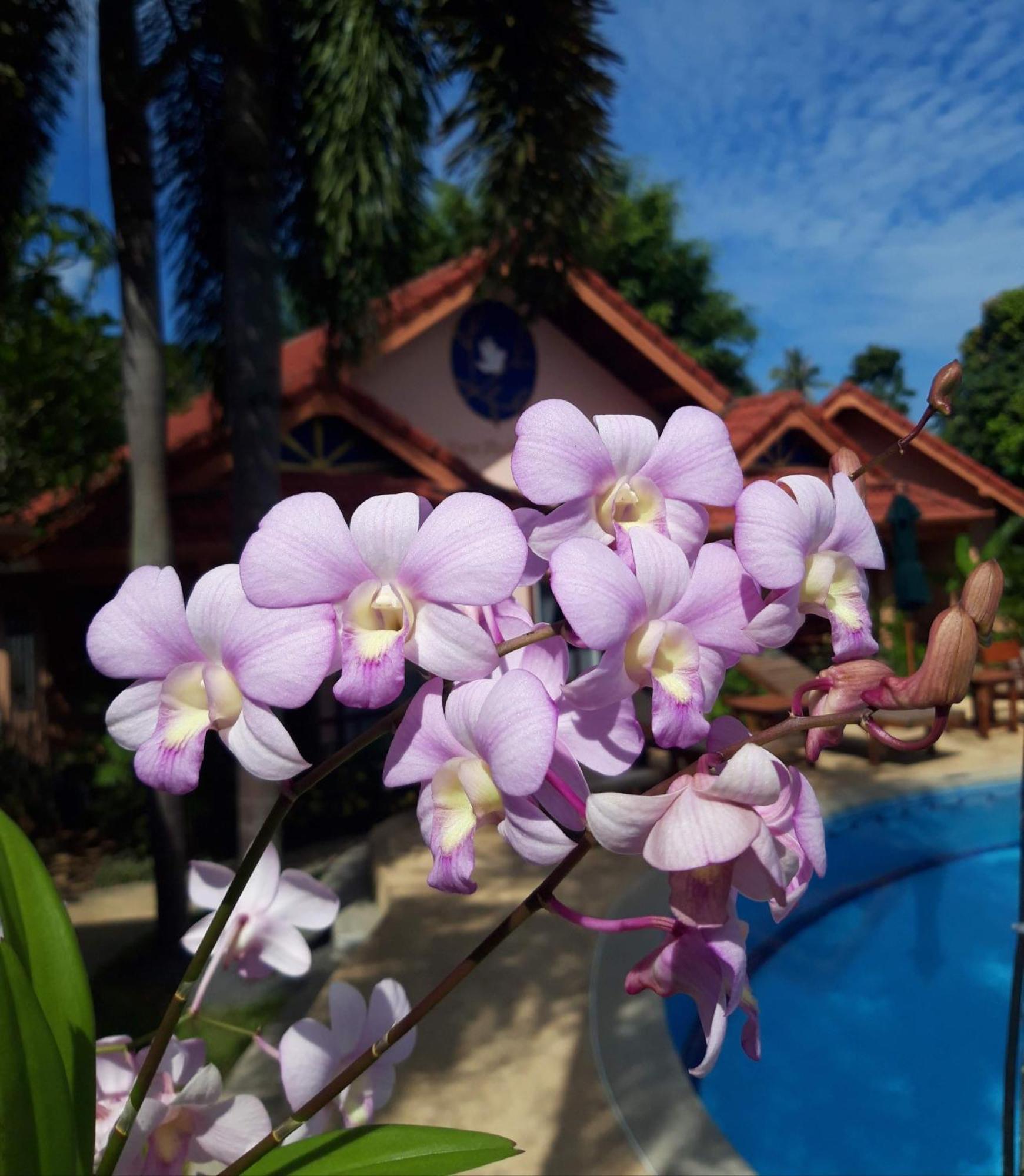 The Pace Phuket Boutique Resort Rawai 外观 照片
