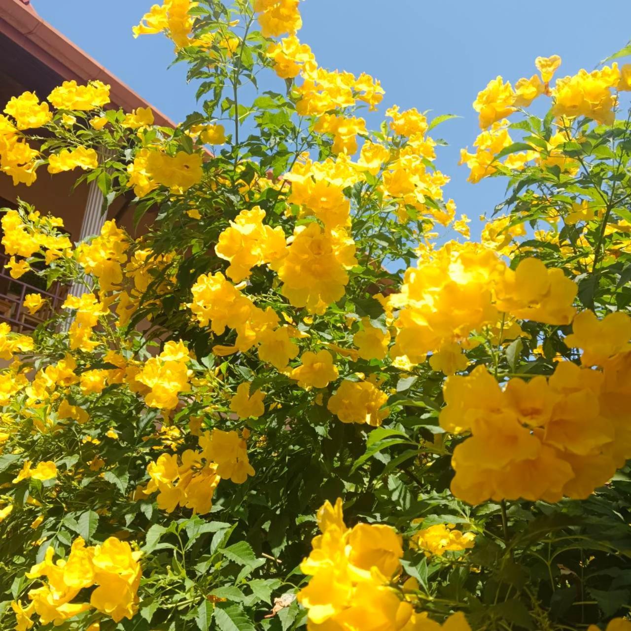 The Pace Phuket Boutique Resort Rawai 外观 照片
